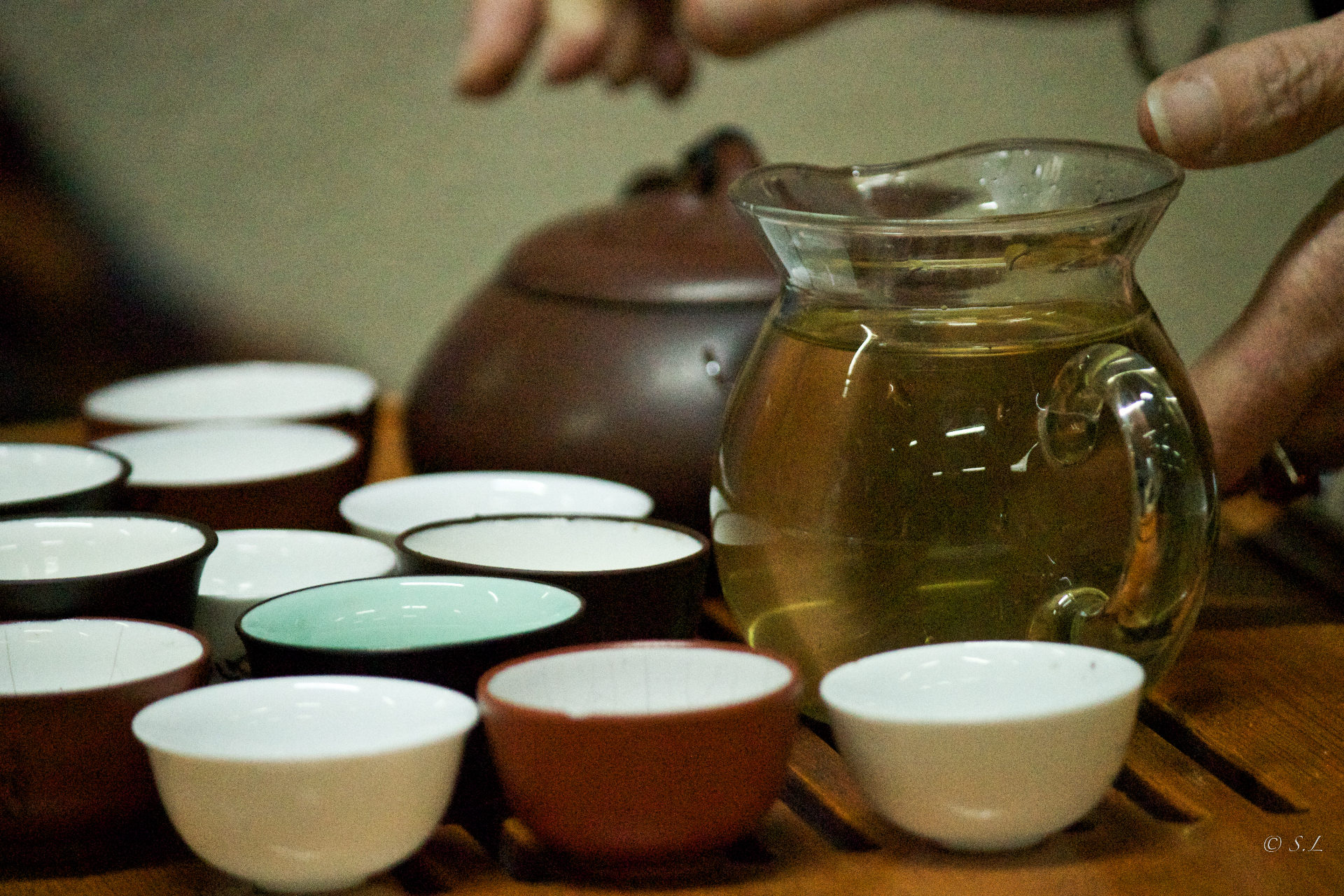 Les Rendez-vous « Gungfu Cha » ! – 4