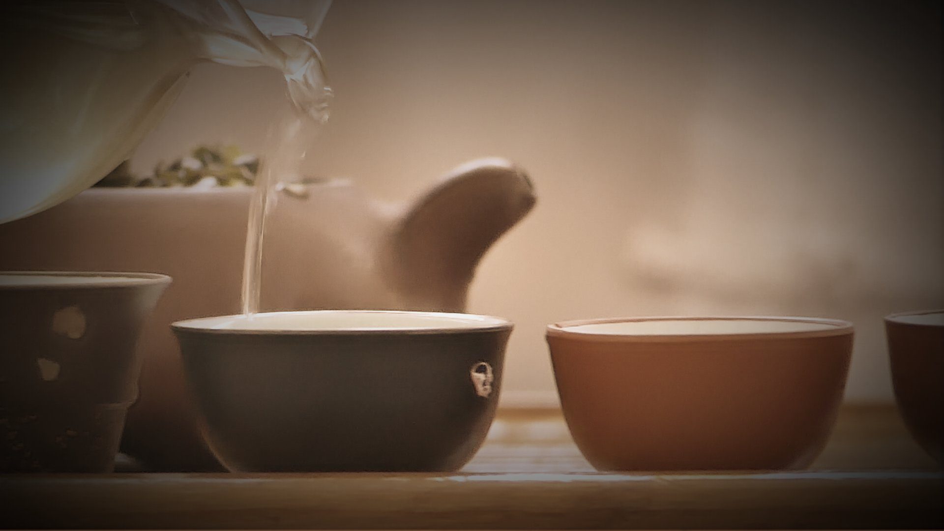 Les Rendez-vous « Gungfu Cha » !