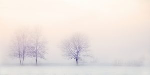 Les « Prescriptions saisonnières » de la MTC : L&rsquo;Hiver & le mois de novembre