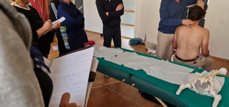 Formation Tuina 2021-2023 : C’est parti !