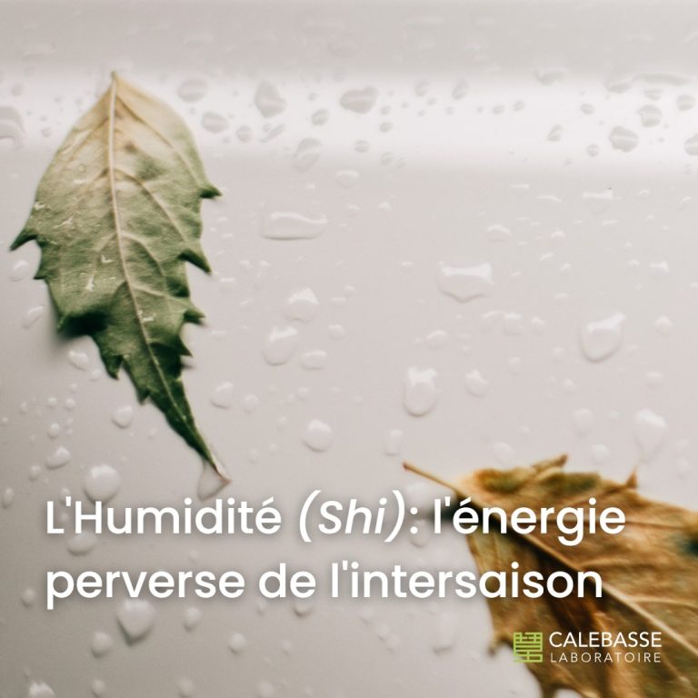 L’humidité : l’énergie perverse de l’intersaison