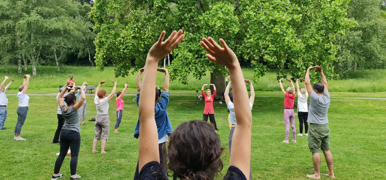 Initiations gratuites à la Vallée des Jardins… Un franc succès ! Rejoignez-nous !