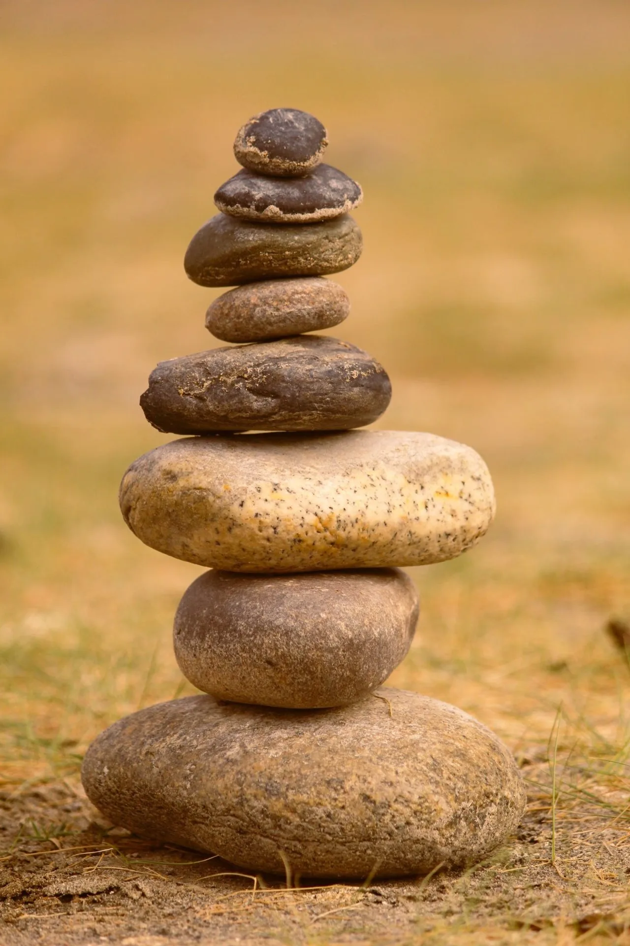 Passages de « grades » dans nos disciplines : <br>pourquoi et pour quoi ?