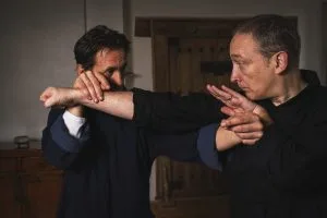 Forme et mains collantes : Les deux ailes de l’oiseau du Lishan Gongfu !