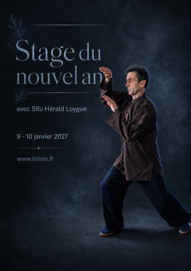 Stage du nouvel an avec Sifu Hérald Loygue