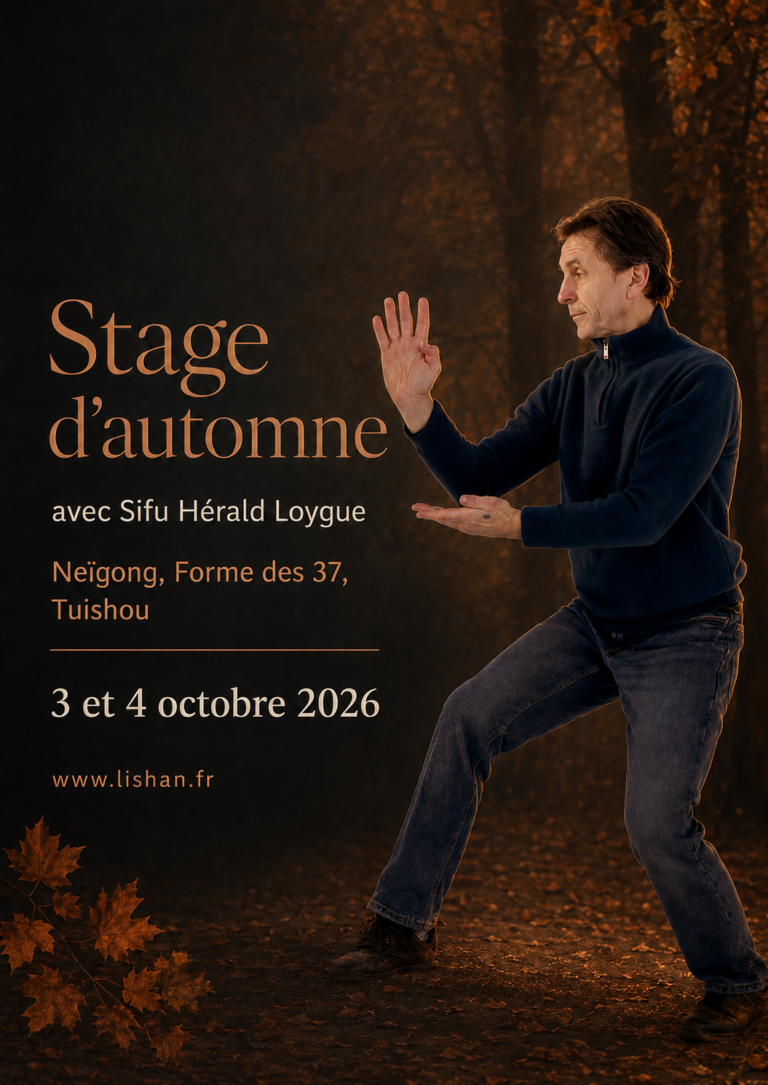 Stage d’automne avec Sifu Hérald Loygue