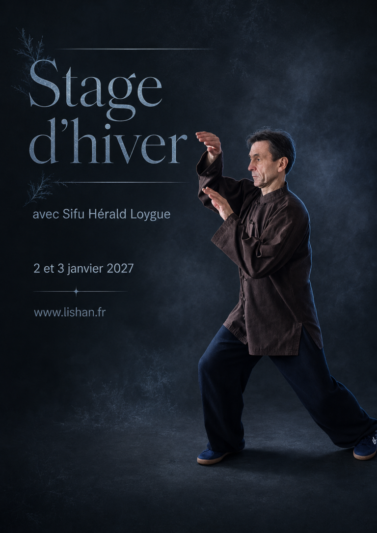 Stage d&rsquo;hiver avec Sifu Hérald Loygue