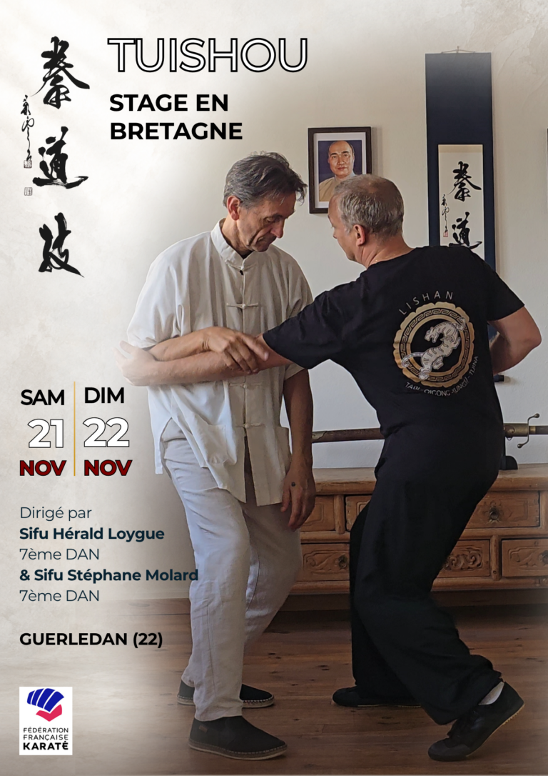 Tuishou : Stage en Bretagne avec Sifu Hérald Loygue et Sifu Stéphane Molard